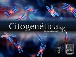 Citogenética