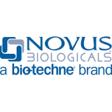 novus