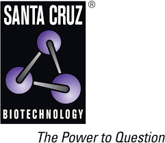 Santa Cruz