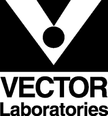 Vector